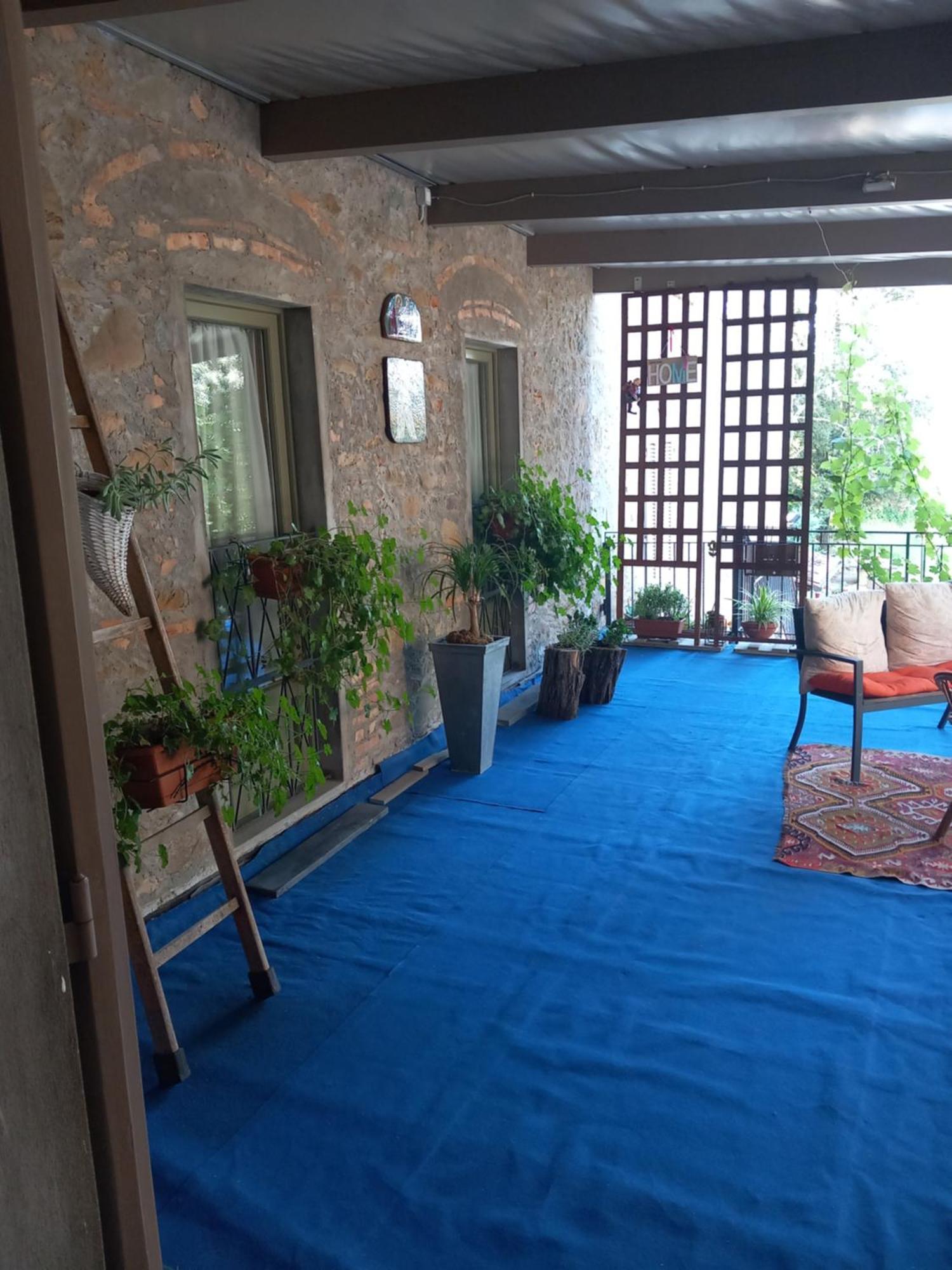 Bed and Breakfast Helichrysum Вінчі Екстер'єр фото