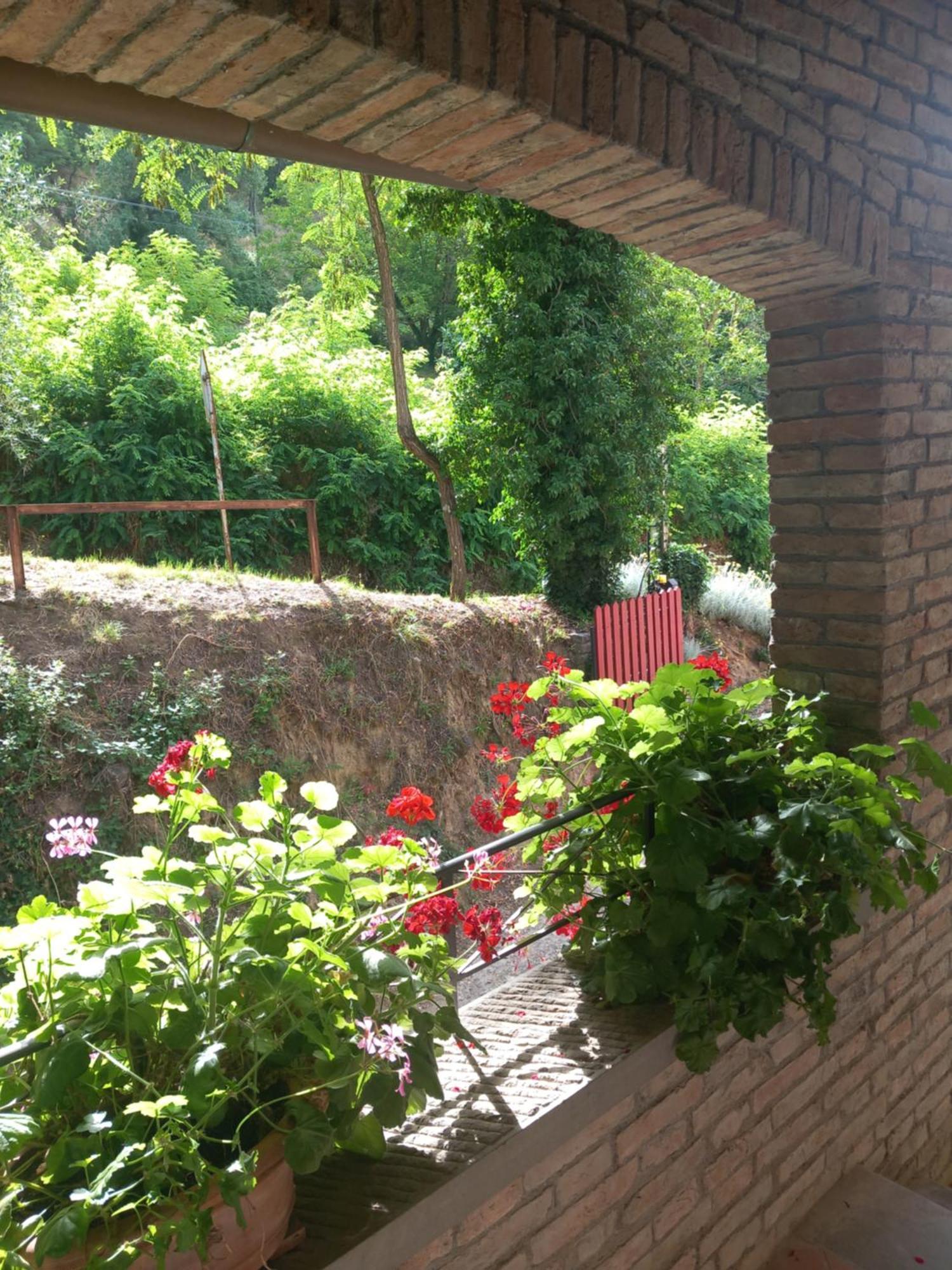 Bed and Breakfast Helichrysum Вінчі Екстер'єр фото
